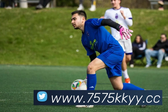 用户互动社区
